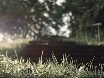 Want to Become a Restaurant VIP? Bring Holiday Gifts.