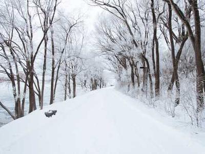 Let Gimbap Reintroduce Itself