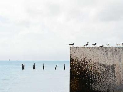 The Vinyl Factory: Reverb exhibition extended until 2 March