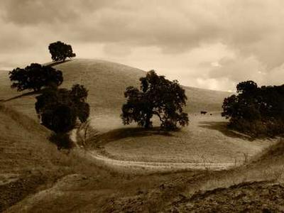 Here Are the 2026 James Beard Awards Restaurant and Chef Finalists