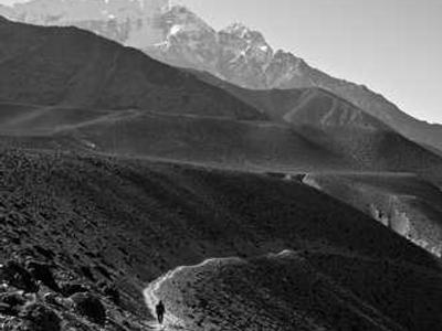 Paradigm Shift exhibition at 180 Studios explores revolutions in moving image culture