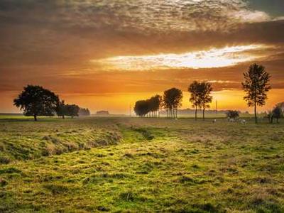 The Vinyl Factory: Reverb exhibition extended until 2 March