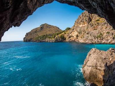 The Best Black Friday Deals on Small Kitchen Appliances