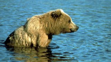 Christopher Phillips