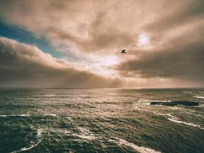 6 Restaurants Explain the Stories Behind Their Beloved Artworks