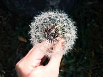 Everything Is Steakhouse Now