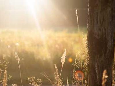 The Vinyl Factory: Reverb exhibition extended until 2 March