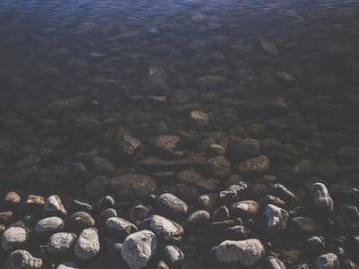 What Was Being a Ninja Really Like?