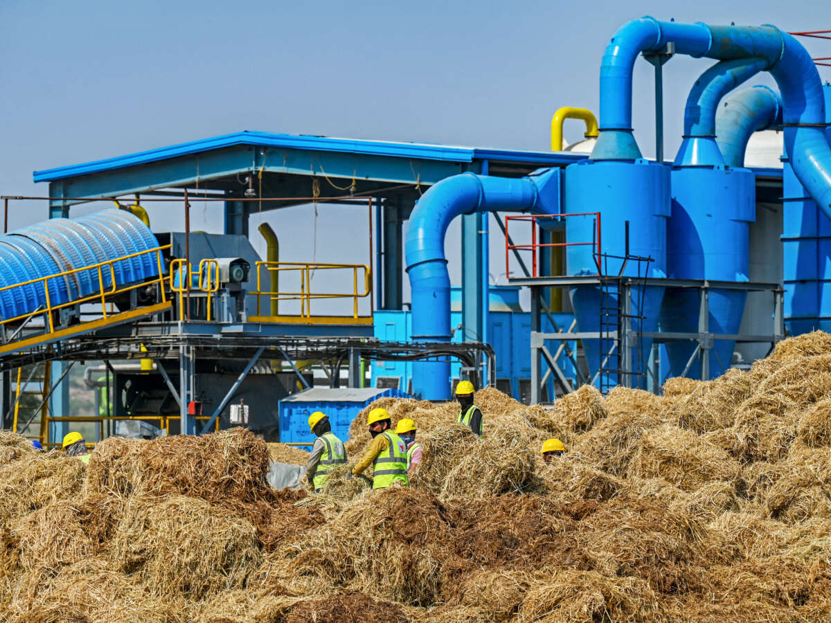 Biofuels Push at COP30 Could Accelerate Climate Crisis and Threaten Food Supply