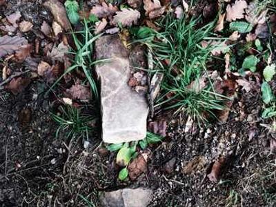 All the Tools for Making a Mouthwatering Bûche de Noël