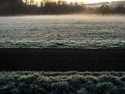 Eater’s Guide to the Holidays