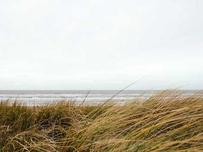 A Sip of Latine Holiday Tradition