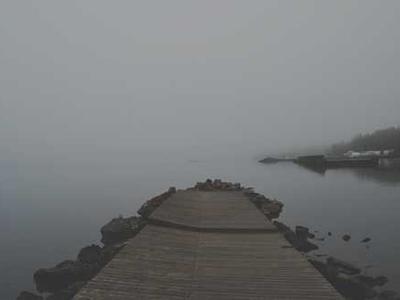 The 38 Best Restaurants in Lisbon, Portugal, According to a Local Expert