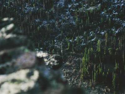 Es Devlin: Screenshare